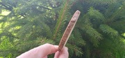 Krążki drewna,100 szt, 2-10 cm,talarki, plastry,sosna, talarki
