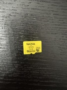 Karta pamieci DanDisk Nintendo microSDXC 256 GB 100/90 MB/s