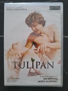 TULIPAN KOMPLETNY SERIAL [2DVD] NOWY