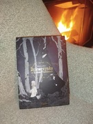 Dziewczynka w krainie przeklętych - Siuil komiks a Run, Siuil