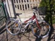 Rower DELTA classic, koła 26"