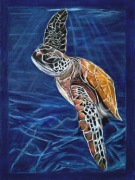 Żółw morski pastel suchy 100x70 cm | Obraz ręcznie wykonany w antyramie
