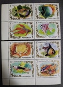 !!! AJMAN RYBY - CZYSTE**!!! 