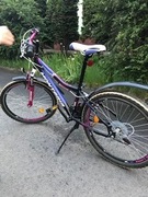 Rower dziecięcy rozm kół 24 rama 13