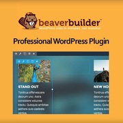 Beaver Builder Pro | v2.7.3 | Szybka dostawa