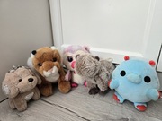 Pięć małych pluszaków, kapibara, tygrysek, brelok piesek