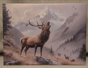 Piękny obraz myśliwski JELEŃ BYK Rykowisko. Polowanie. 30x40cm. Nowy
