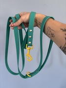 Wodoodporna smycz dla psa 3m pastelowy morski zielony żółty kolorowa hexa