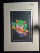 Antyrama plexi 21x29.7cm