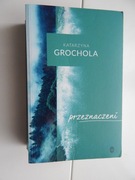 Przeznaczenie  Katarzyna Grochola