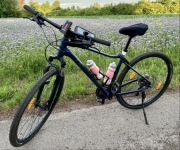 Rower crossowy Liv Rove 2 Eclipse rozmiar L (2023) JAK NOWY