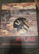Atlas owadów uszkadzających drewno I Wydanie1998 r