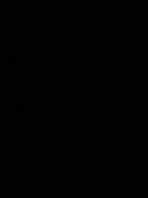 Puzzle trefl białe konie 1000