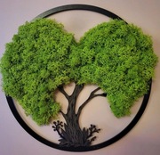 Drzewo Serce z chrobotka 