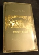 SOURCE OF TIDE - Ruins Of Beauty, MELODIC BLACK METAL, MYSTIC PRODUCTION. 