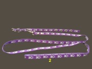 york szczeniak zestaw: obroża/smycz, fiolet.-nieb