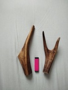 Poroże zestaw 2 szt naturalny Gryzak  dla psa  24-28 cm 