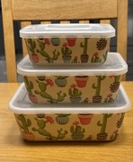 3 pojemniki z pokrywkami