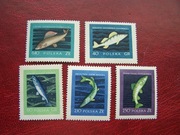 Polska 1968 MNH Mi. 1051/55 Fauna Ryby