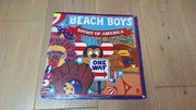 The Beach Boys – Spirit Of America - 2X 