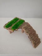 Mała wyspa dla żółwi 