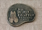 XXI JESIEŃ PIESZYCH 1978  - odznaka  PTTK ŁÓDŹ
