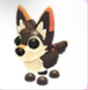 2x Mexican Wolf - Adopt Me Roblox