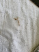 Taśma przycisków bocznych- Infinix note 30 pro 