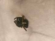 pin pinezka broszka   alternative