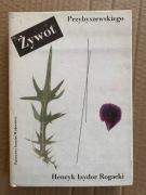 D HENRYK IZYDOR ROGACKI ŻYWOT PRZYBYSZEWSKIEGO