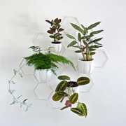 metalowy kwietnik ścienny z osłonkami Hexal Design BASIC biały