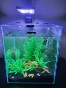Sprzedam zestaw Aquael Shrimp Set 