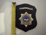 Ryngraf - Wyższa Szkola Policji