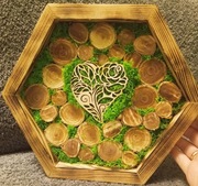 Panel z mchu chrobotka w ramce sześcian heksagon