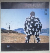 Pink Floyd - Delicate Sound Of Thunder