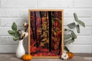 Jesienny plakat - dekoracja - las jesienny