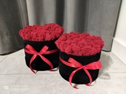 MechBox w welurowym pudełku na każdą okazję, 17cm