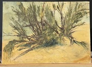 Nadmorska roślinność