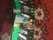 TOP CLASS 2023-2024 NBA