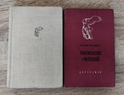 F. Scott Fitzgerald - Czuła jest noc | Ivy Compton Burnett - Teraźniejszość