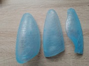 Płuco prawe lewe kostek szkielet ciało człowieka National Geographic