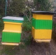 Sprzedam Ule Wielkopolskie kompletne (bez pszczół)