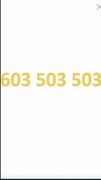 Złoty numer 603-503-503