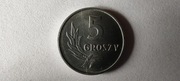 Polska 5 gr groszy, 1962 r. (L37)