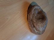 Czapka, Futro  z PRL, Prawdziwe, Dom Mody Elegancja 