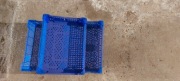 Skrzynki plastikowe pojemniki na pieczarki, borówki lub maliny 40x30x12cm