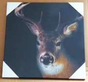 JELEŃ * OBRAZ 40x40 * NOWY