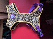 Szelki Zeedog Honey L