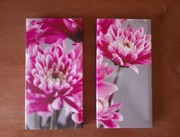 Obraz grafika na płótnie - panele dekoracyjne różowe chryzantemy (2 części)