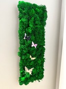 panel dekoracyjny z mchem chrobotkiem + gratis